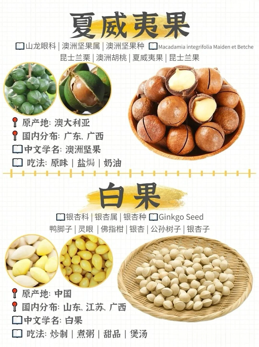 哪种坚果最好吃！坚果图鉴