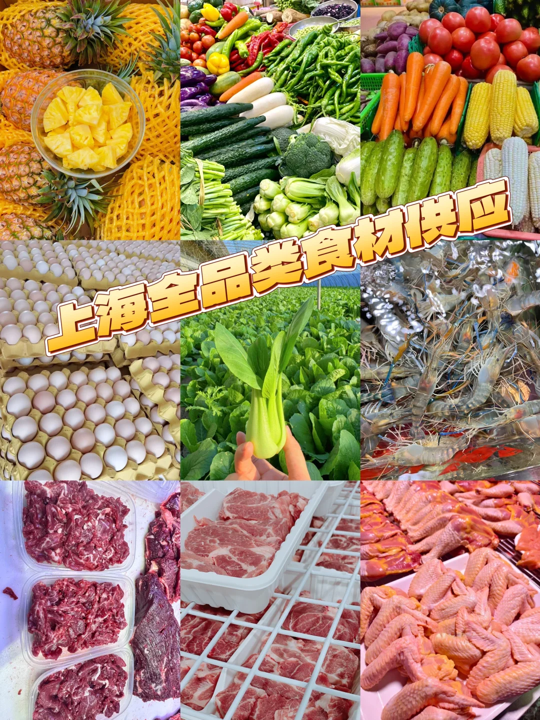 新鲜食材来啦、上海全境送货上门