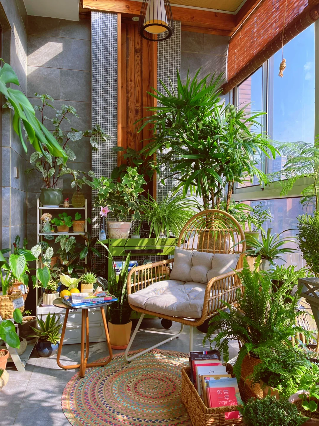 我的2023阳台小森林布置18图｜供参考