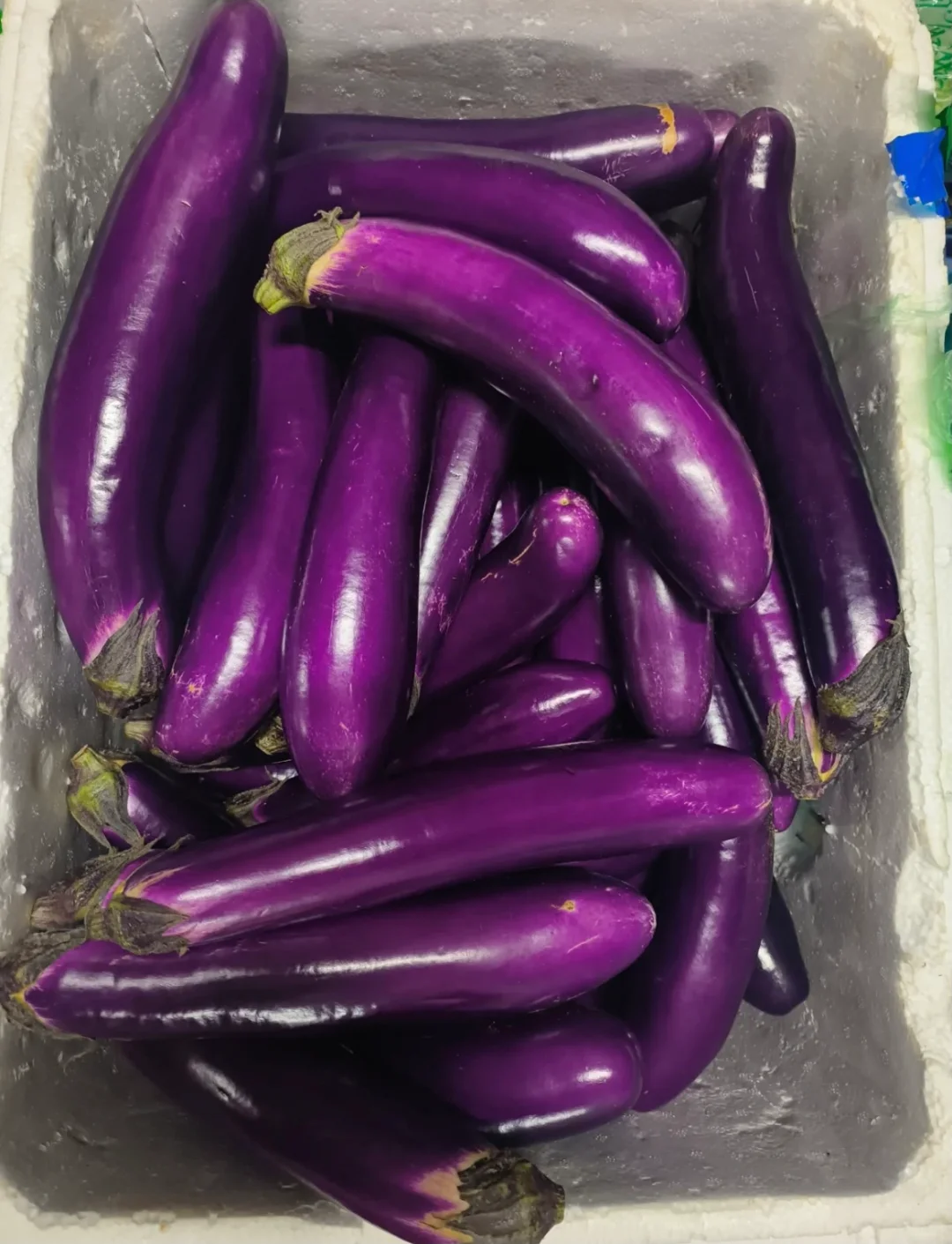 珠海餐饮食材配送，品质看得见！！