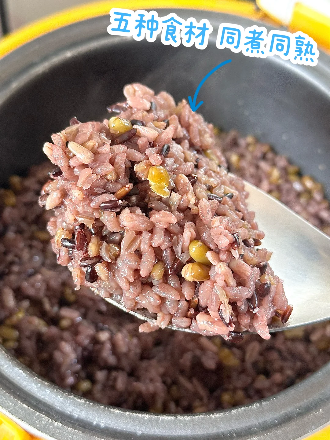 控制期主食真的没必要花大几百?