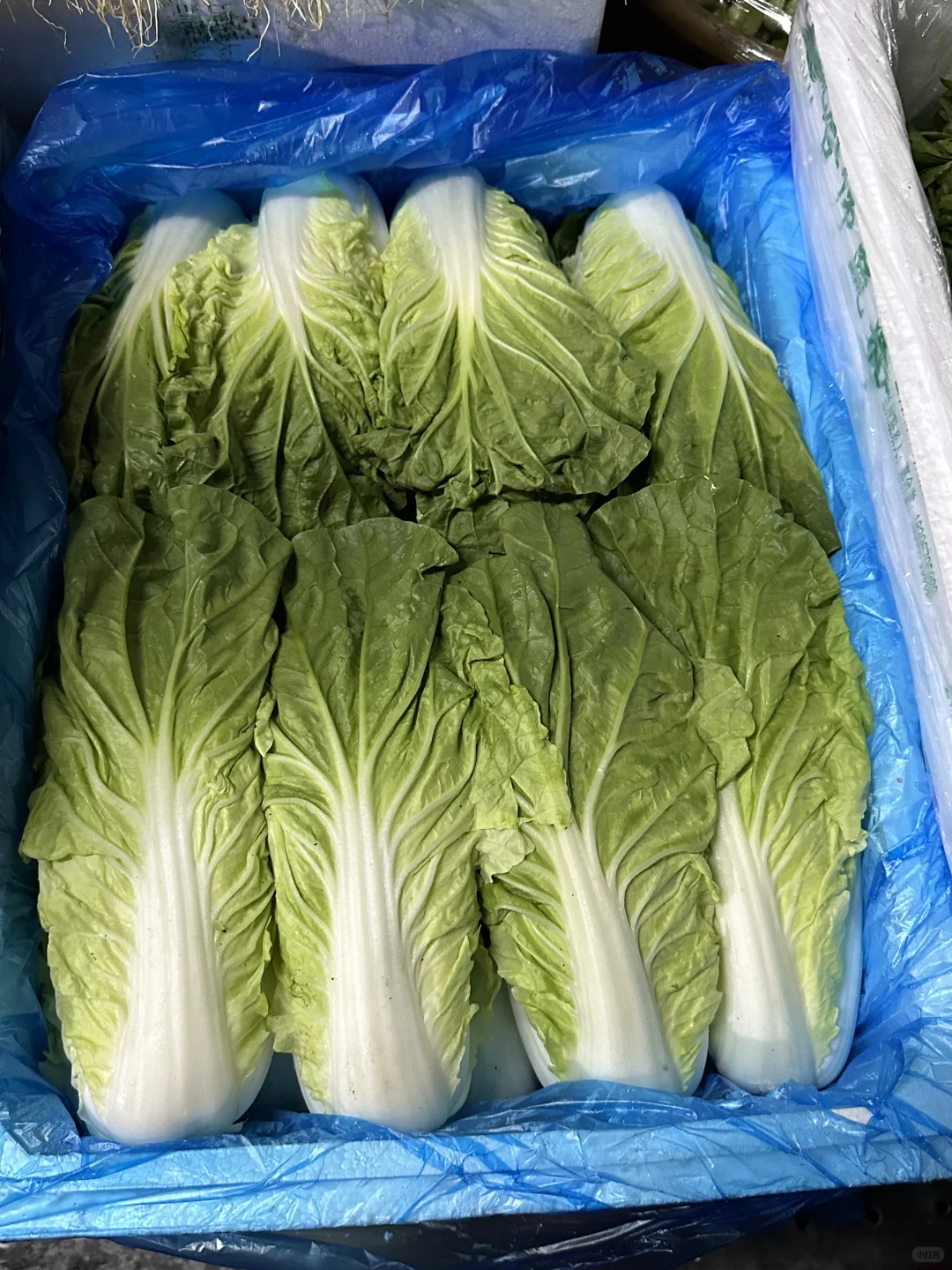 餐厅业的老板，厨师长点进来！?#生鲜供应商