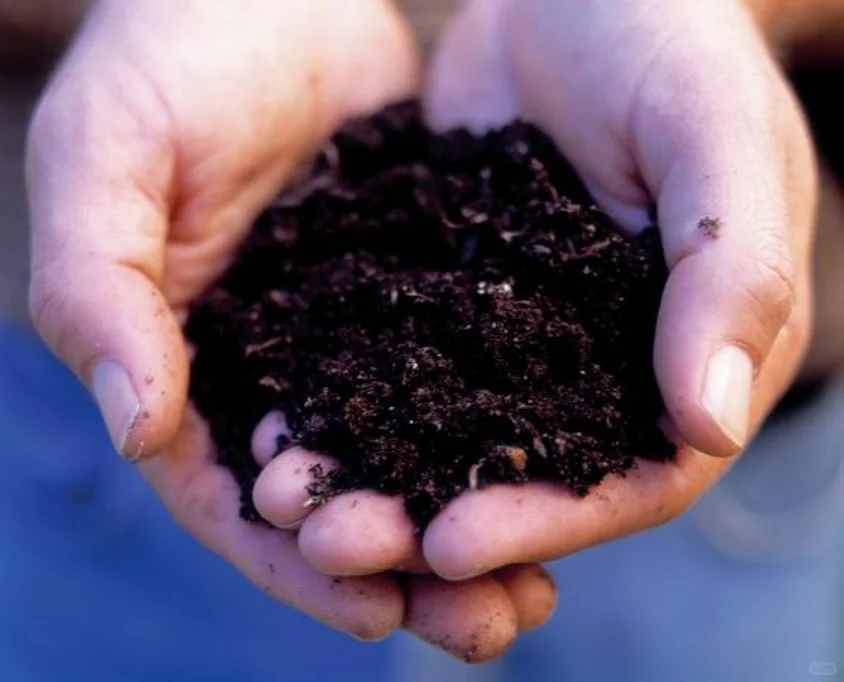 食物残渣变肥料