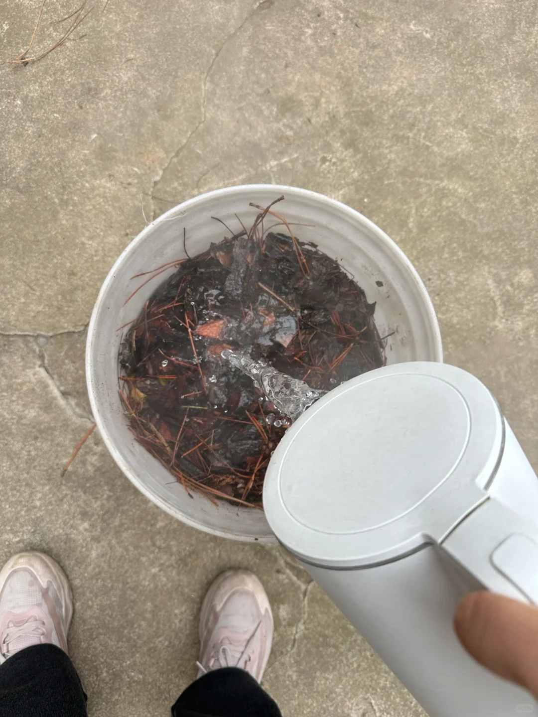 带娃上山捡松鳞，为种蓝莓费尽心思