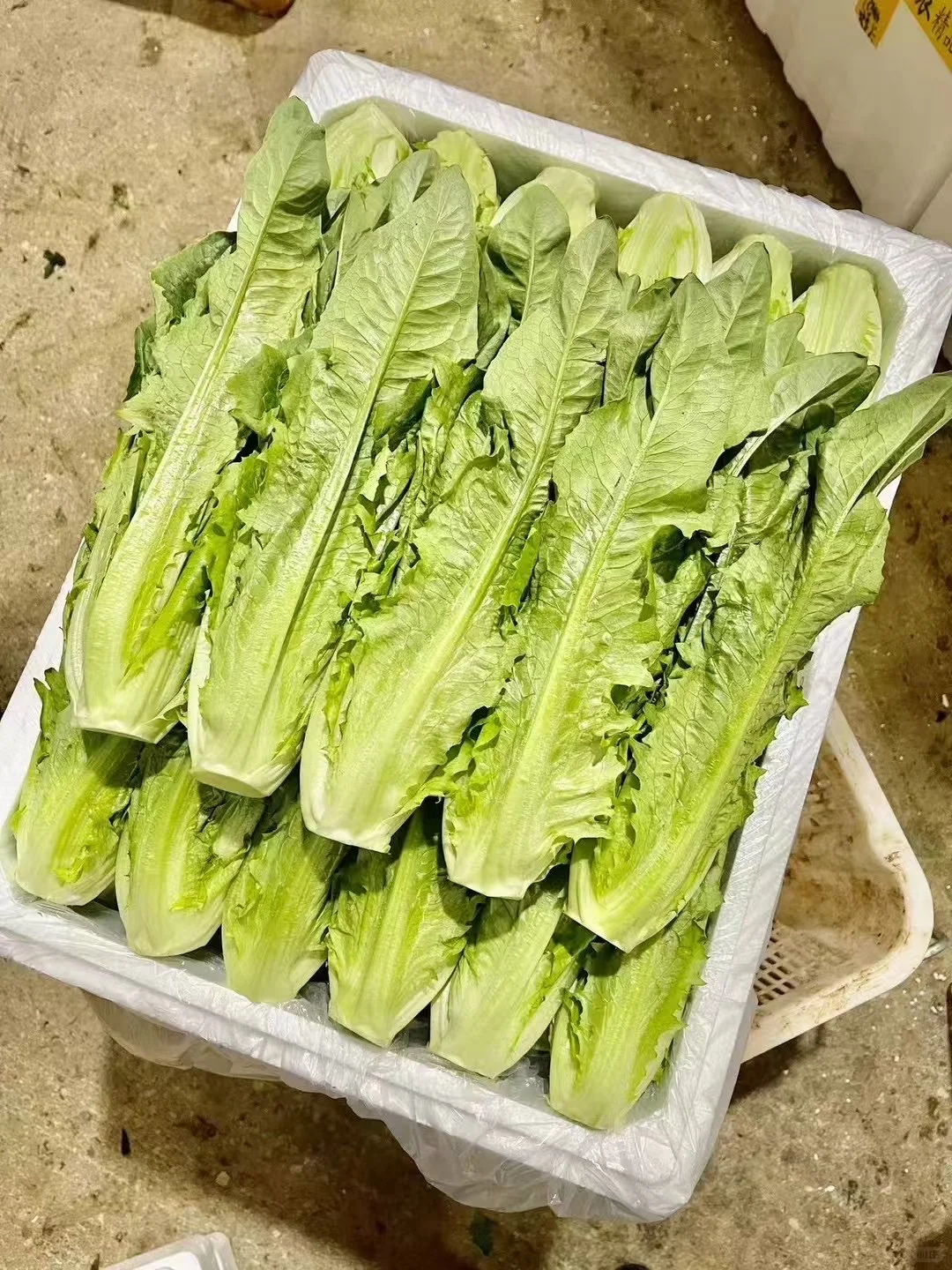 蔬菜批发 #食堂供应商 #同城配送 #餐饮供应