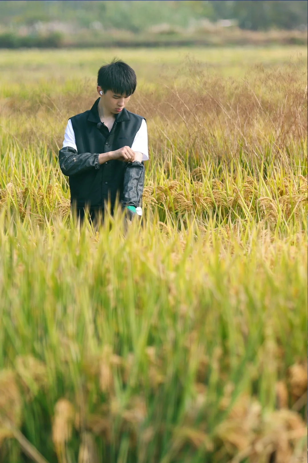 小何种地日记 第二弹