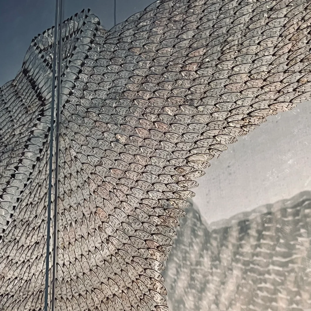 长沙看展｜省博的历史时空数字艺术展