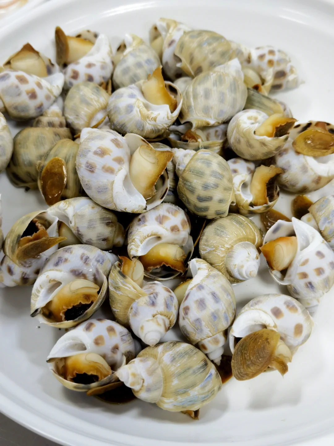 海陵岛海鲜攻略｜海鲜市场+餐馆一条龙