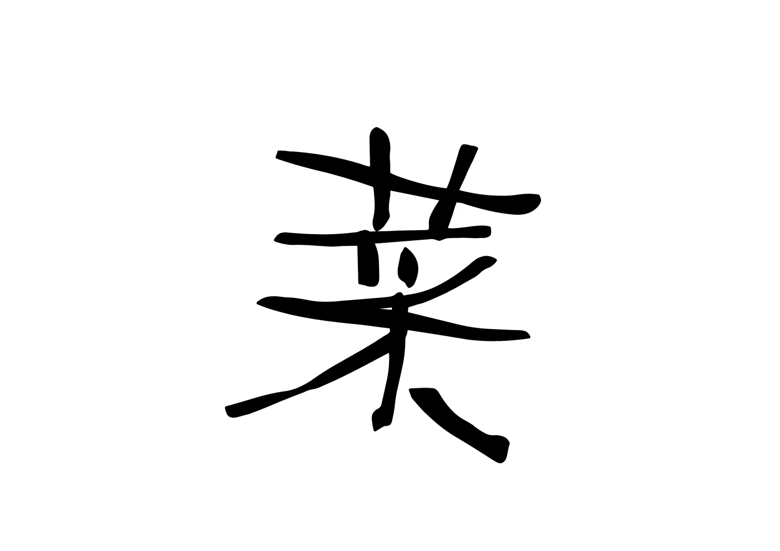 植物角：蔬菜的种类