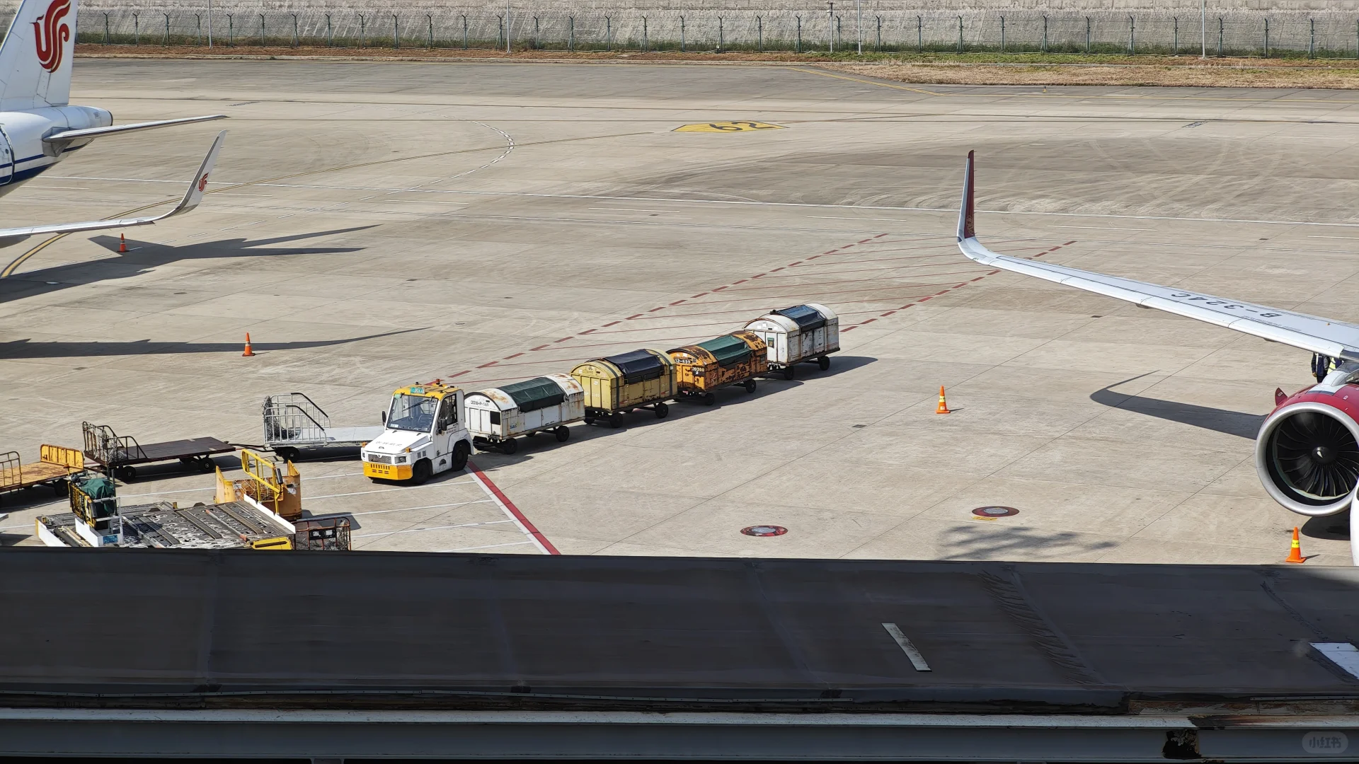 不是，没人觉得它真的超可爱的吗？！