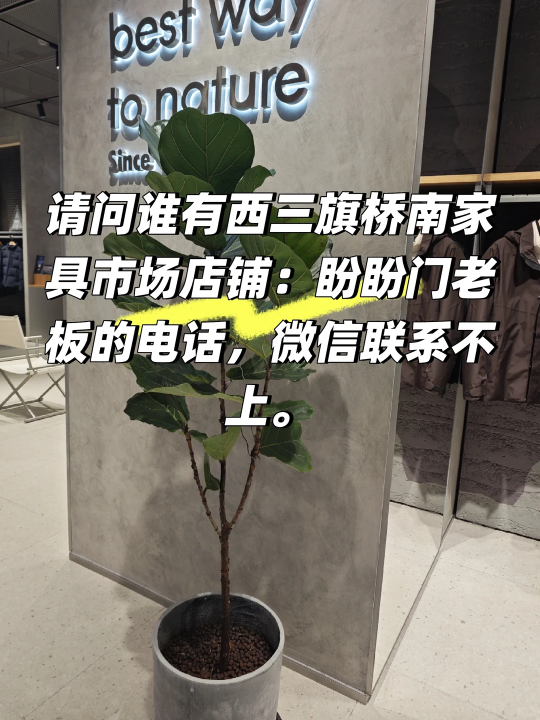 求西三旗桥南家具市场店铺：盼盼门老板电话