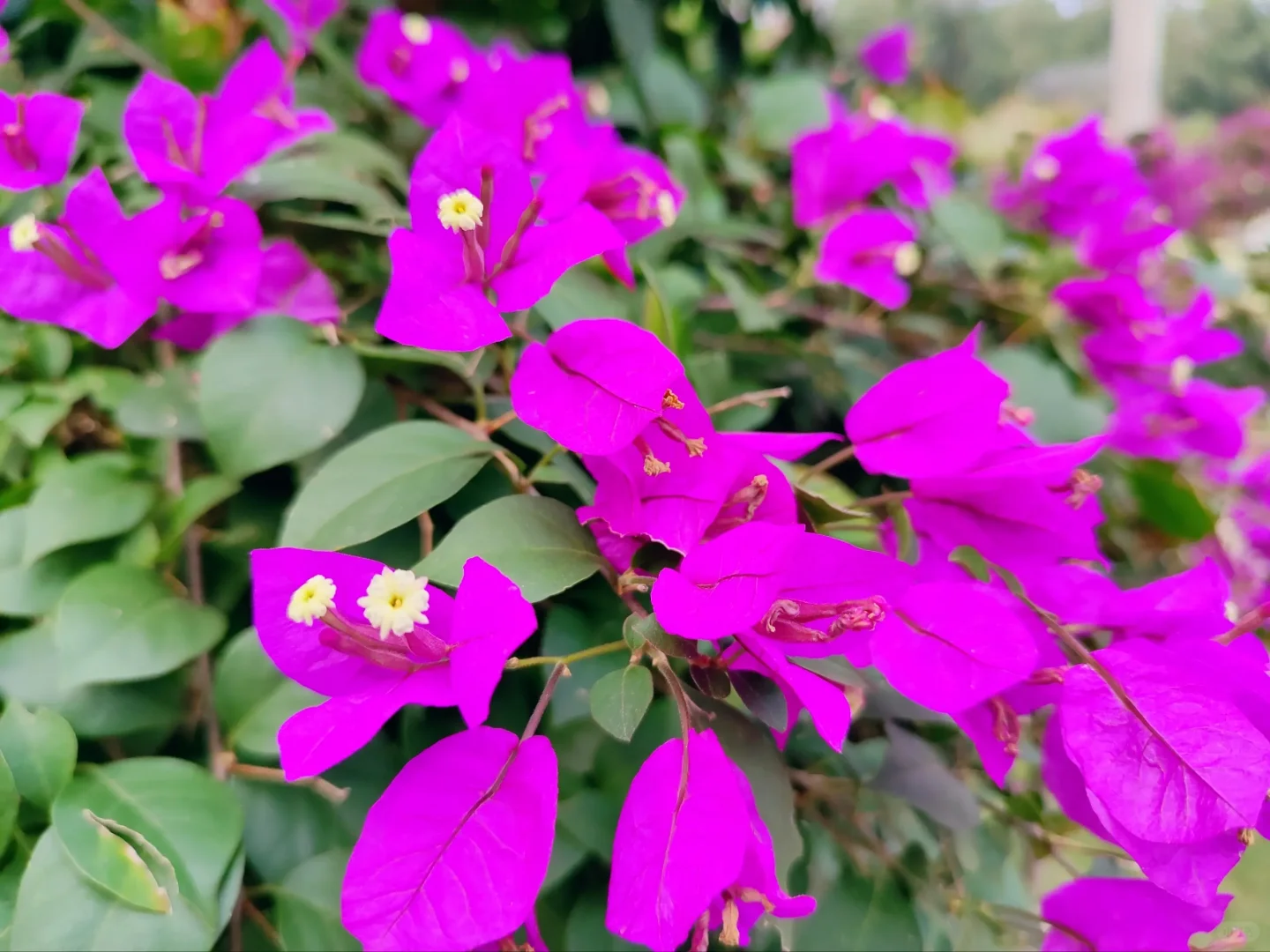 太阳能充电板，户外充电好帮手～