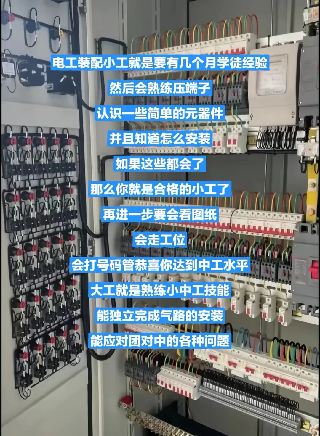 从事电气自动化的现状