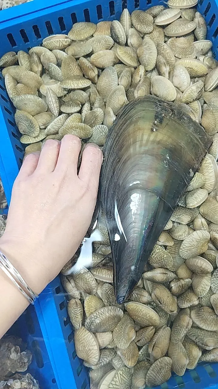 陈记川味海鲜加工店、林旺市场109号、