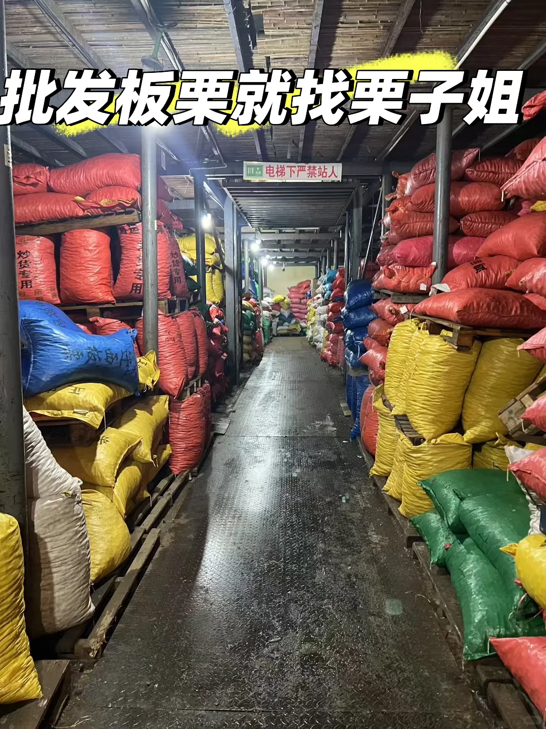 批发板栗就找栗子姐