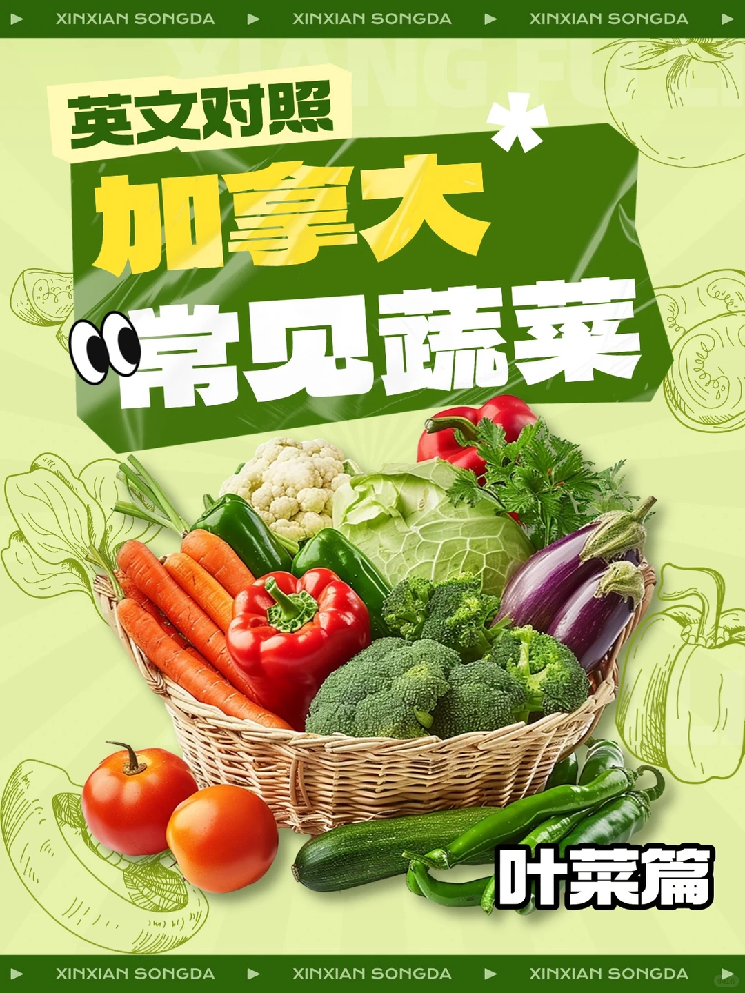 加拿大常见蔬菜中英文对照?叶菜篇