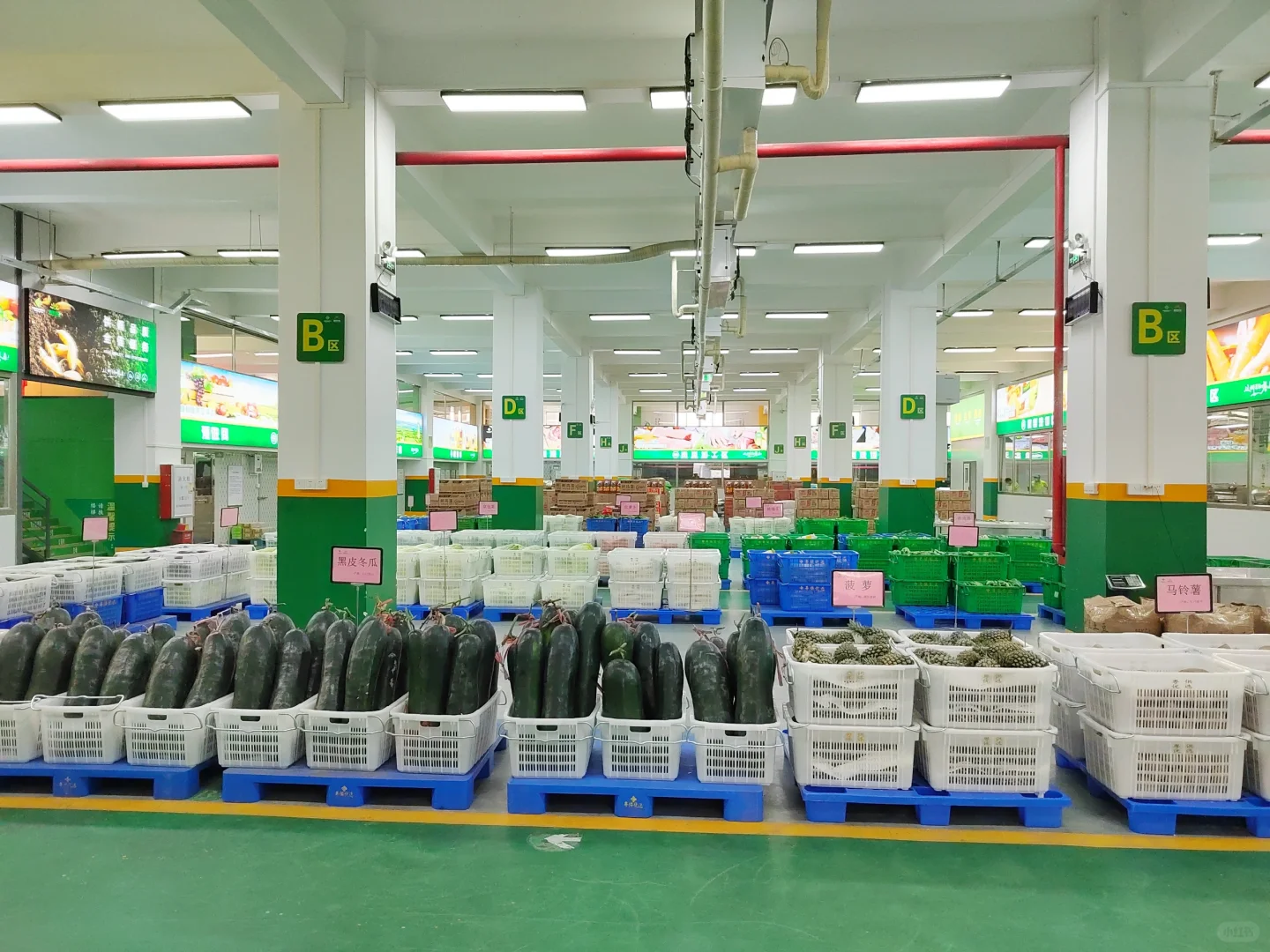 专注工厂、幼儿园、酒店新鲜食材配送服务