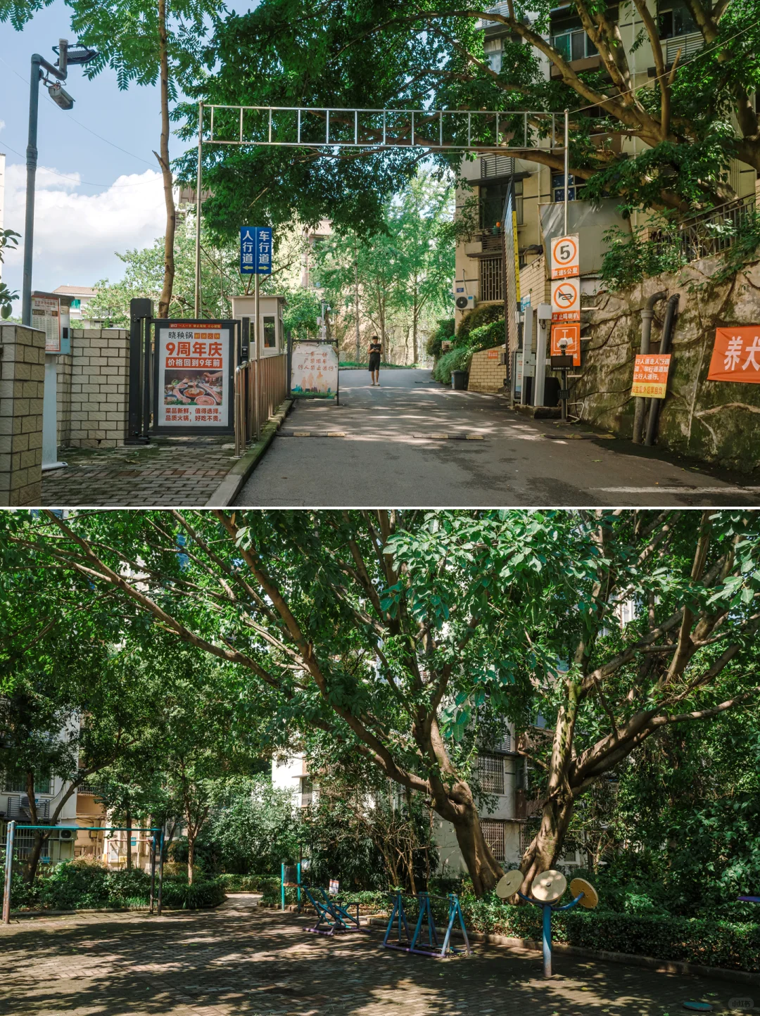 |川仪系列|川仪六厂