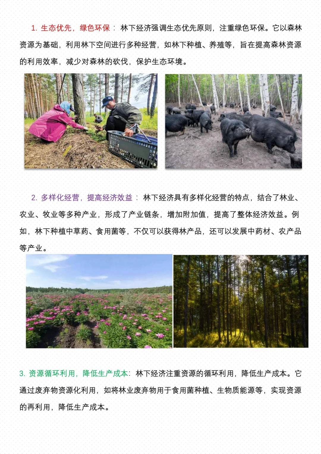 【地理微专题】--林下经济