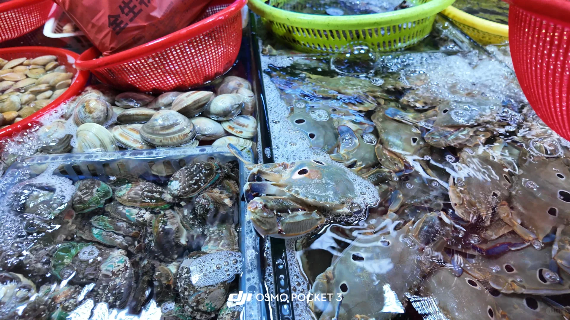 三亚海鲜市场+陈姐加工