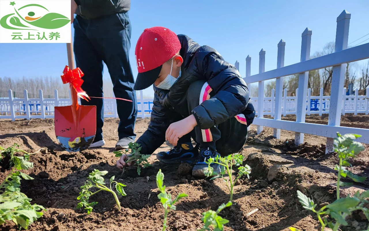 云上认养——土地认养模式，发展前景如何？