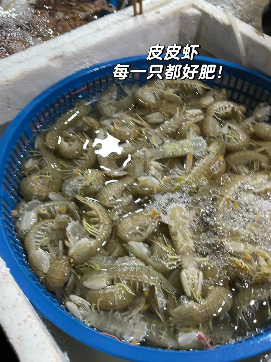 宁德新能源!居然藏着一个宝藏海鲜批发市场