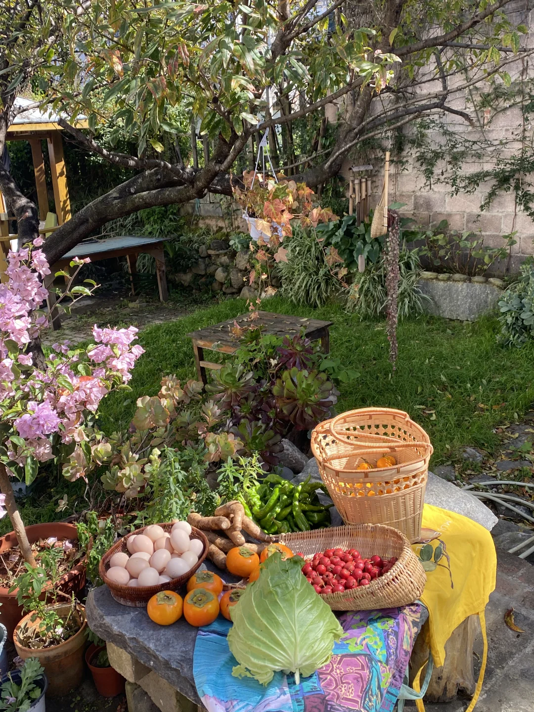 乡村市集逛不够?