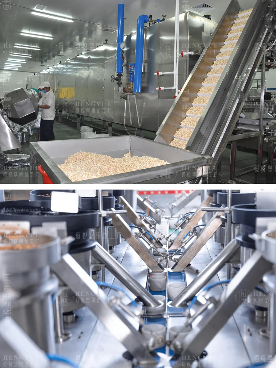 坚果加工生产日常,工厂直销批发坚果供货商