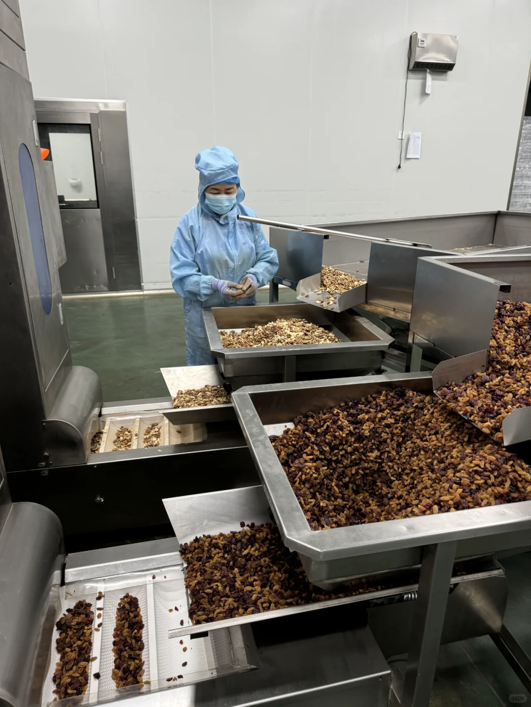 1688挖到三只ss、百c味老家了！坚果自由！