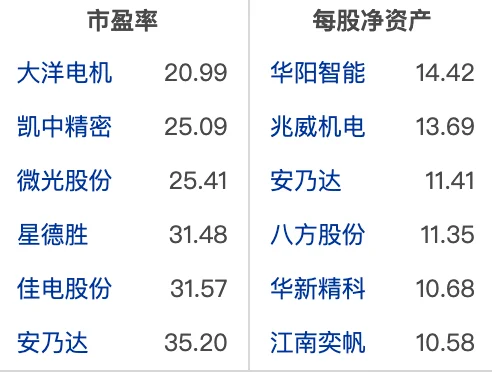 大A电机行业龙头