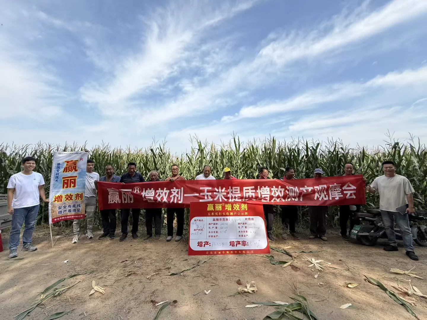 德国赢创增效剂