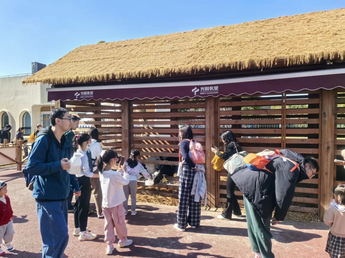 又是元气满满的一天?