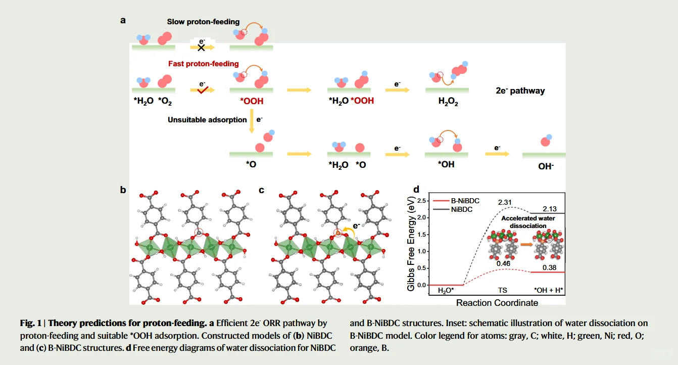 增强MOF质子供给动力学促进电合成过氧化氢