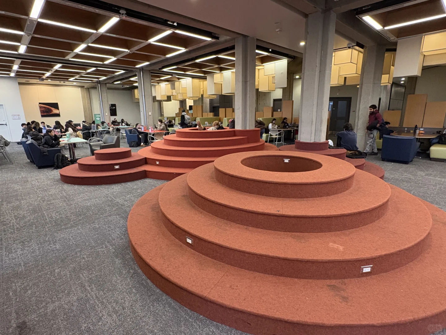 约克大学图书馆测评1 性冷淡监狱风Scott下