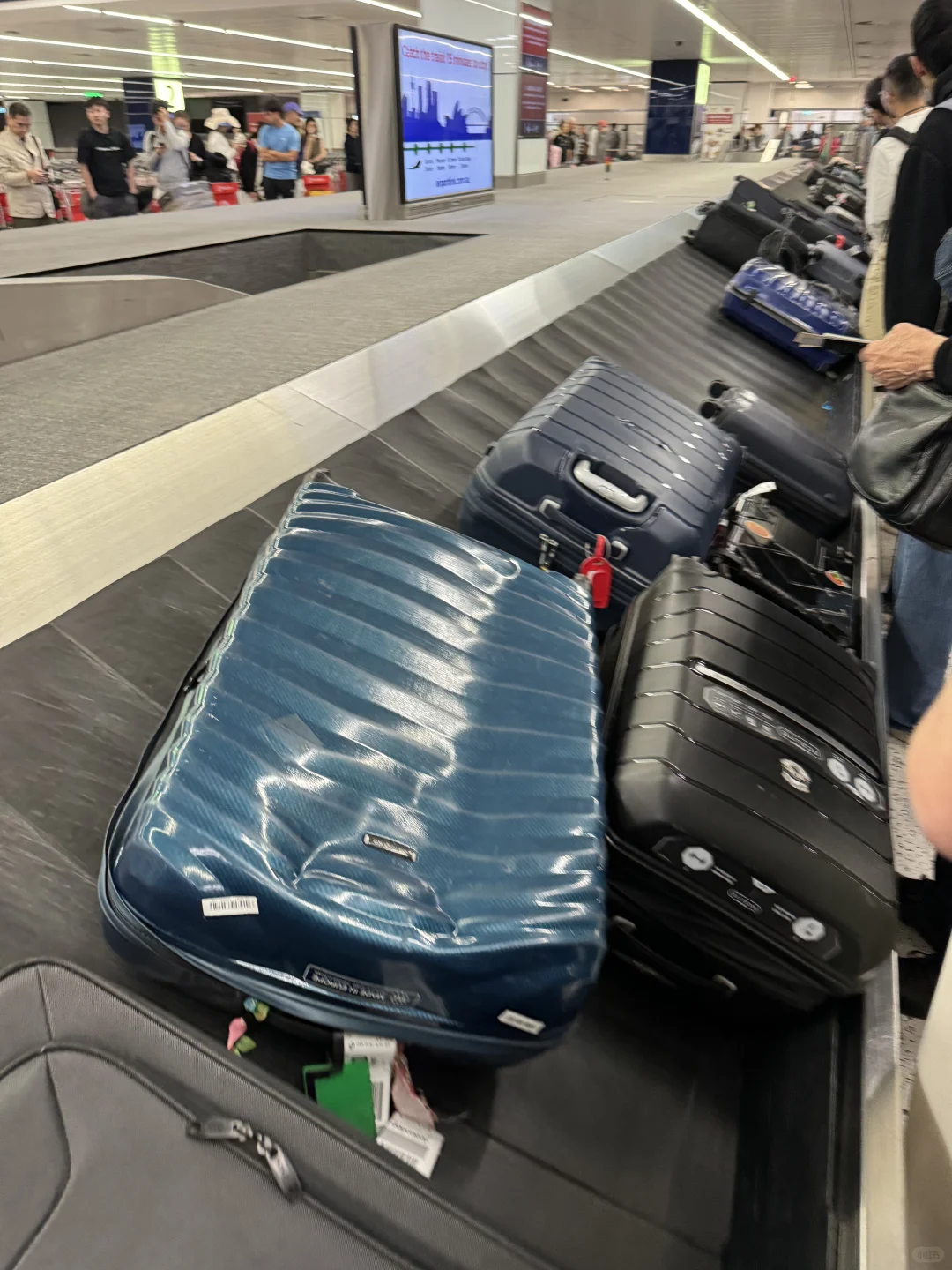 搞不懂悉尼机场为什么行李都放一个转盘上