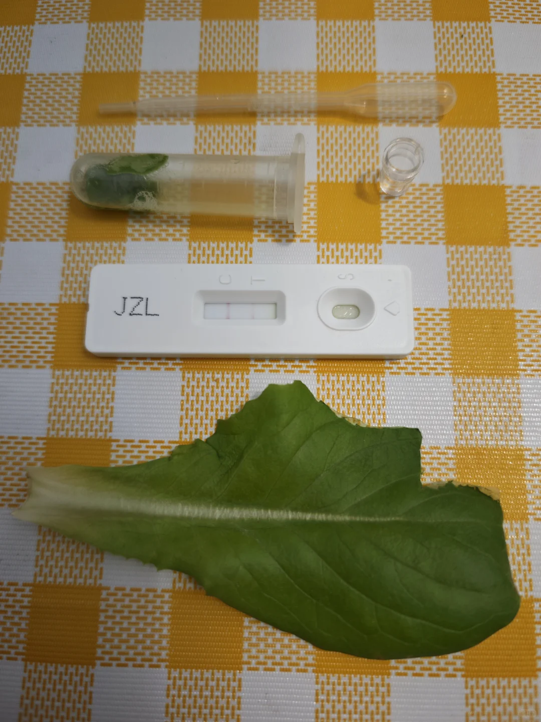 京东植物工厂参观:科技农业的硬核体验?