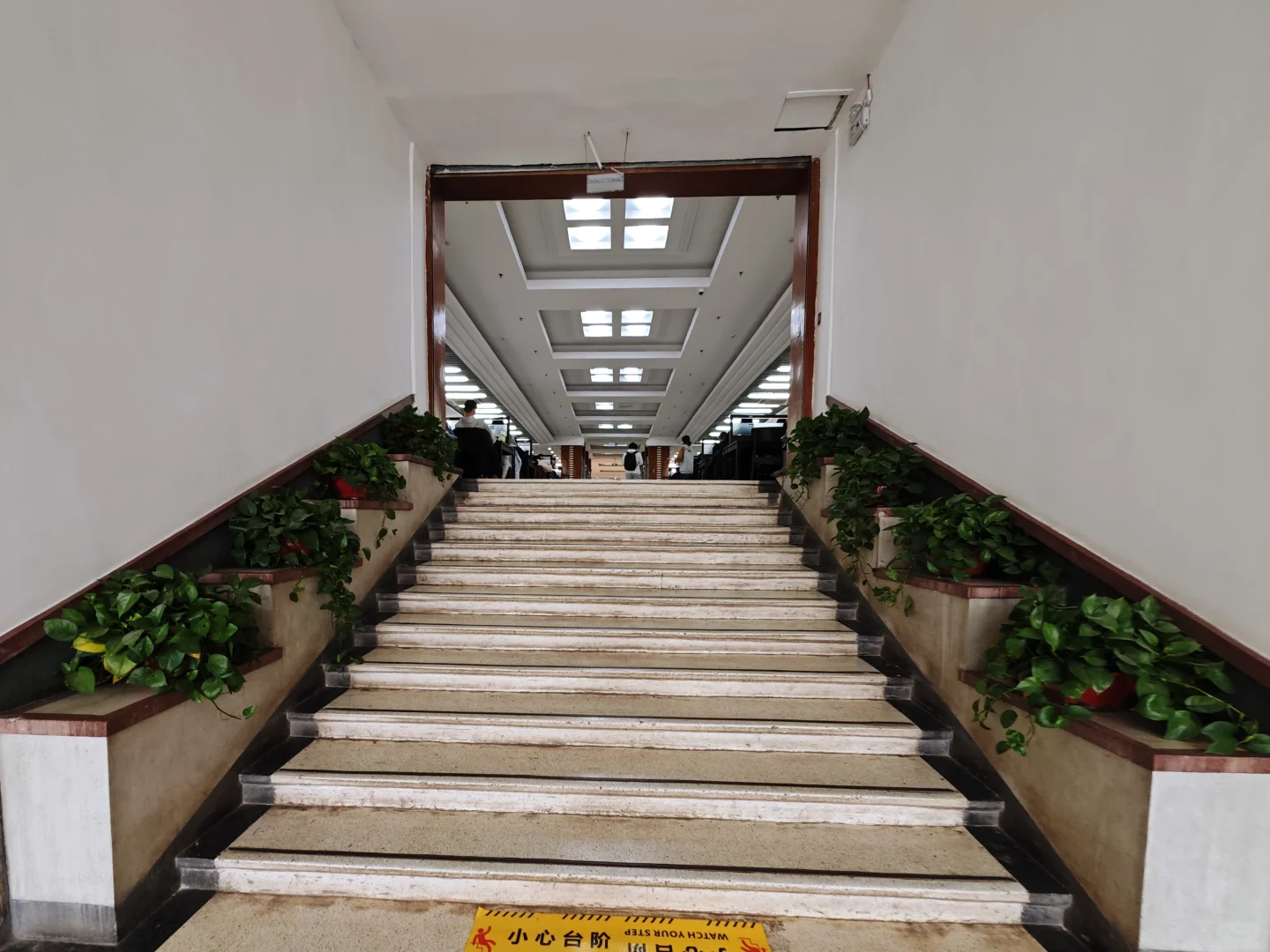 100家图书馆打卡挑战(番外篇1)