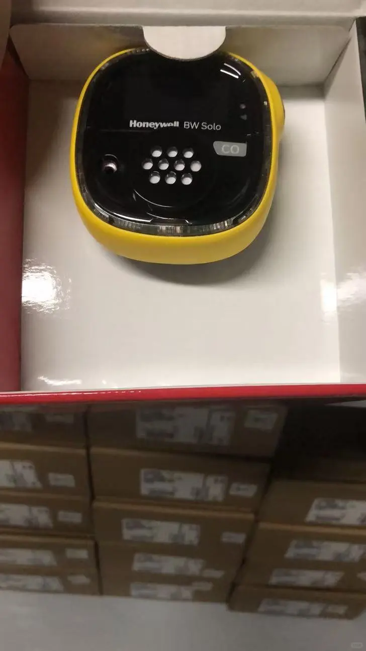 BWSolo 可维护式单气体检测仪 BWSolo 可维