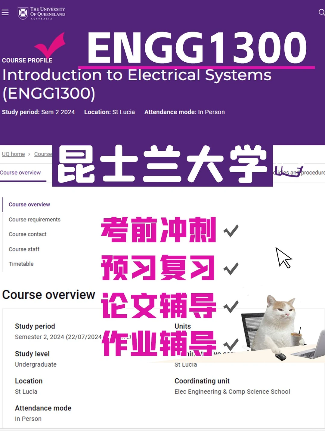 昆士兰大学 ENGG1300 辅导