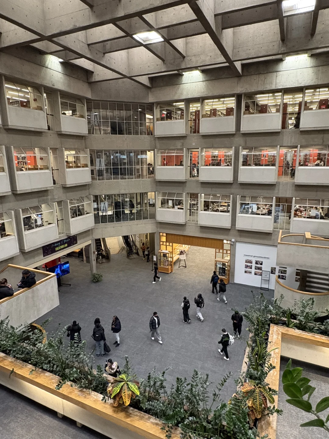 约克大学图书馆测评1 性冷淡监狱风Scott下