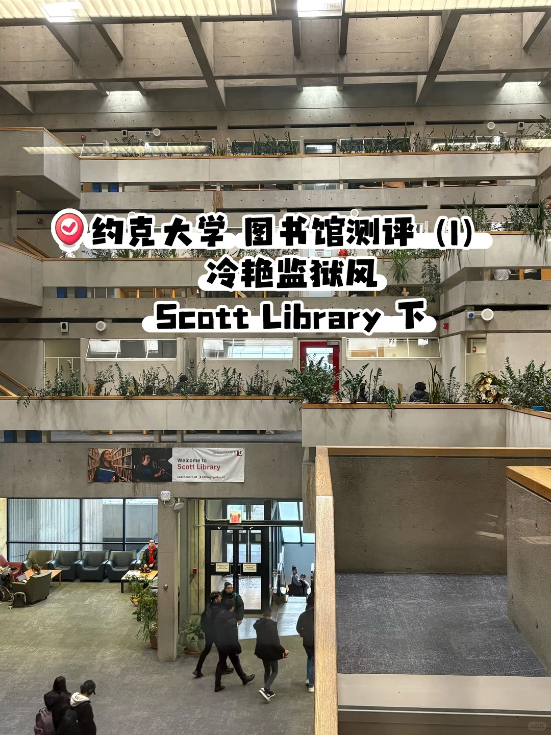 约克大学图书馆测评1 性冷淡监狱风Scott下