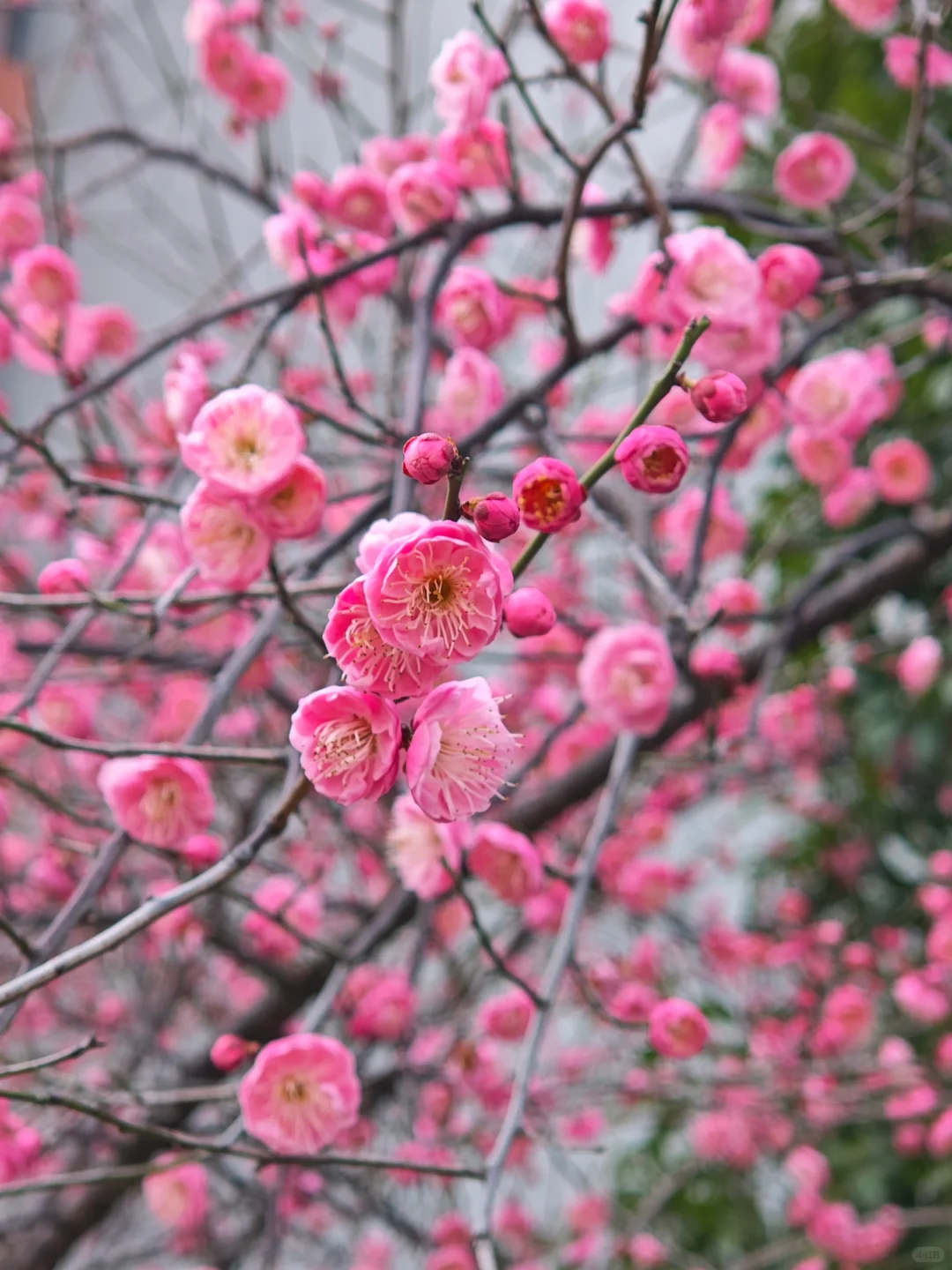 一百个赞离开图书馆