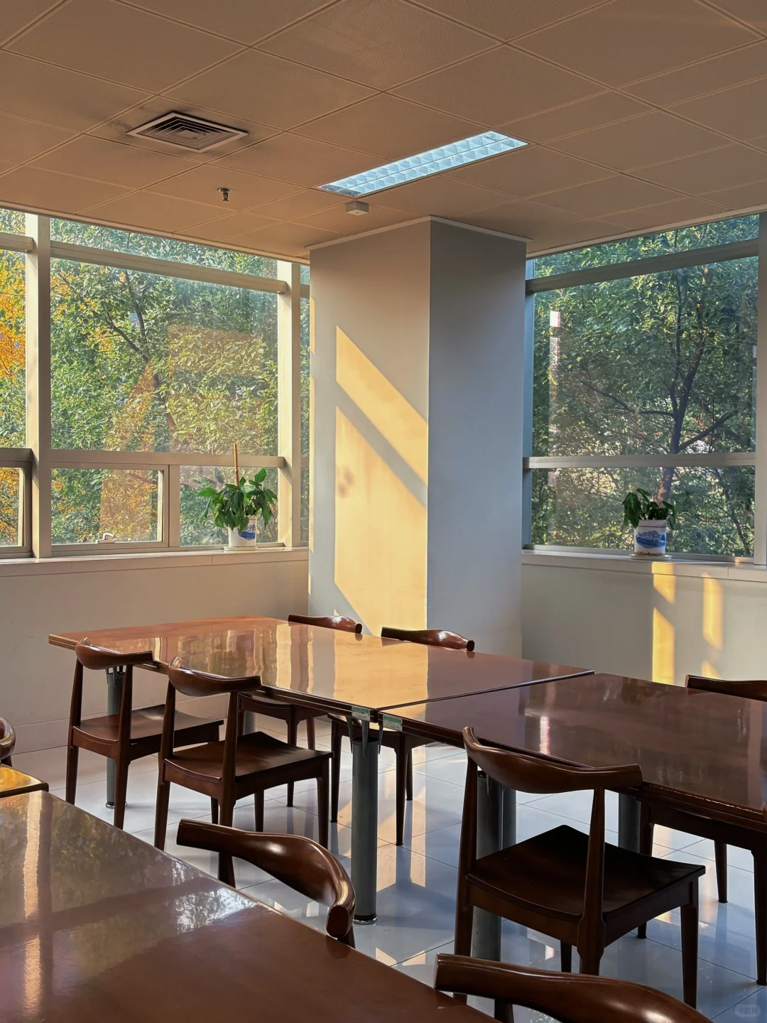 不止迪迦，图书馆里也有“光”的力量