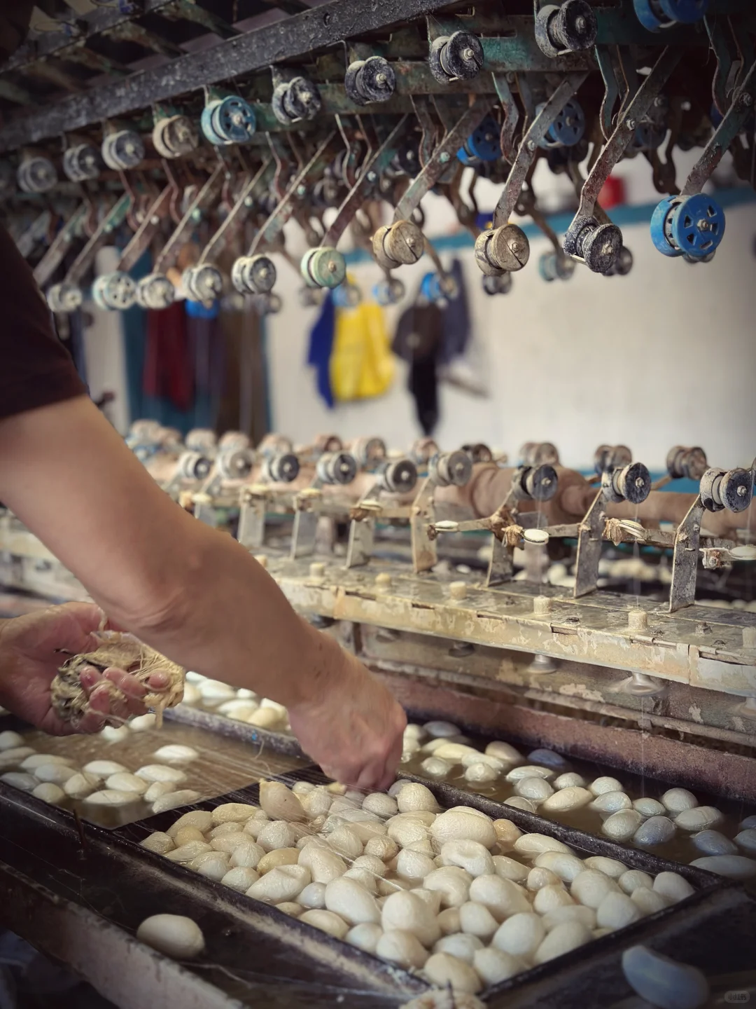 为热爱奔走的田野人