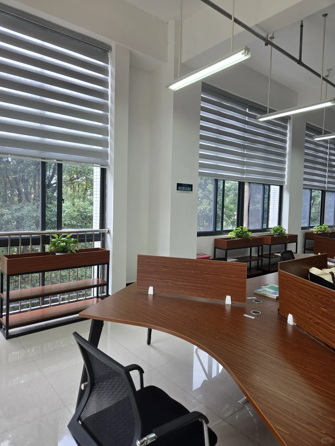 大专学校的图书馆真是宝藏