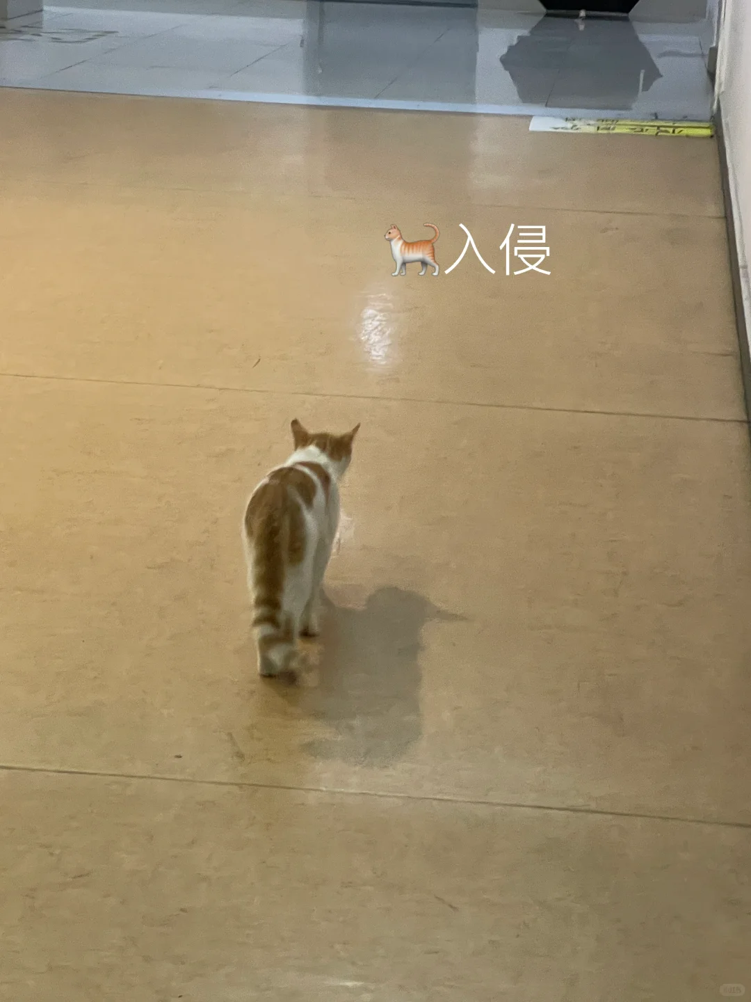 困难只是暂时的???