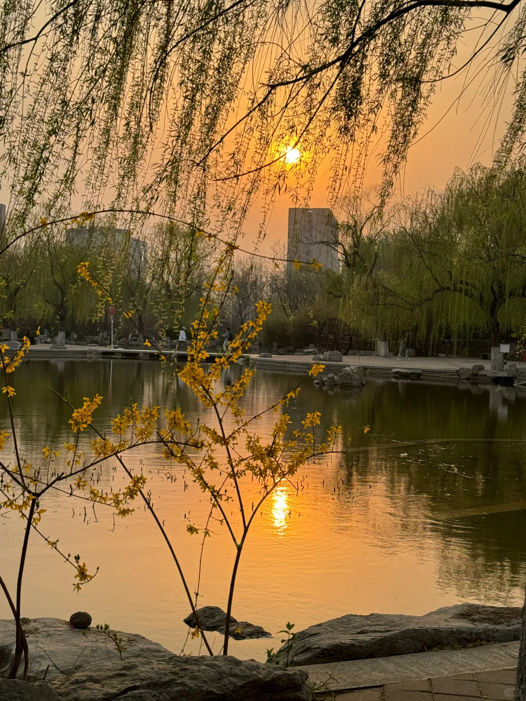 24级专升本到女院之图书馆打卡第?天