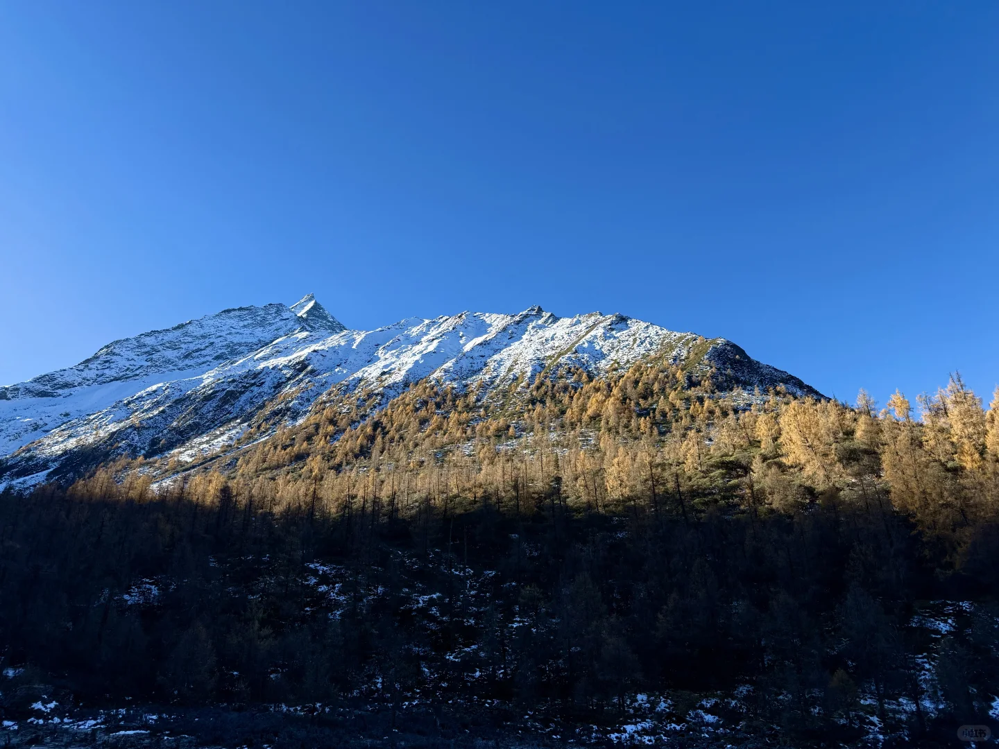 11.11大二普三海子徒步！彩林与雪山交汇