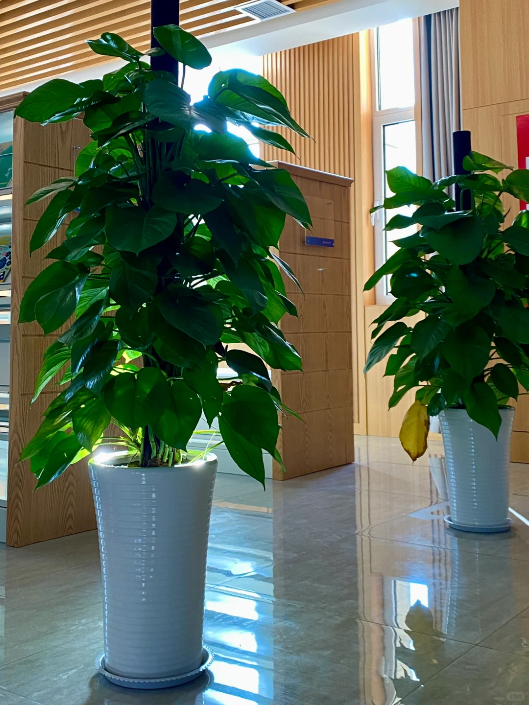 别管 已在图书馆默默学习3小时