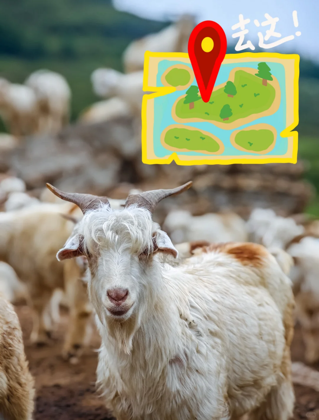 牛羊定位器：让它们的行踪尽在掌握